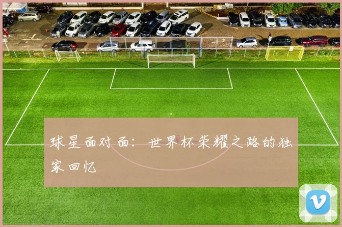 球星面对面：世界杯荣耀之路的独家回忆