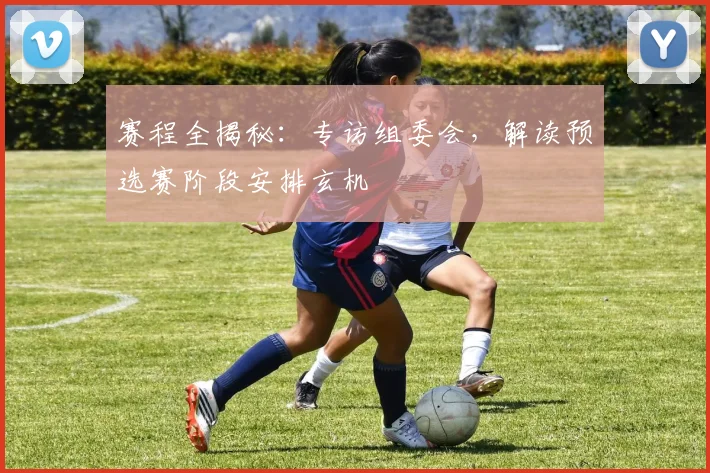 赛程全揭秘：专访组委会，解读预选赛阶段安排玄机