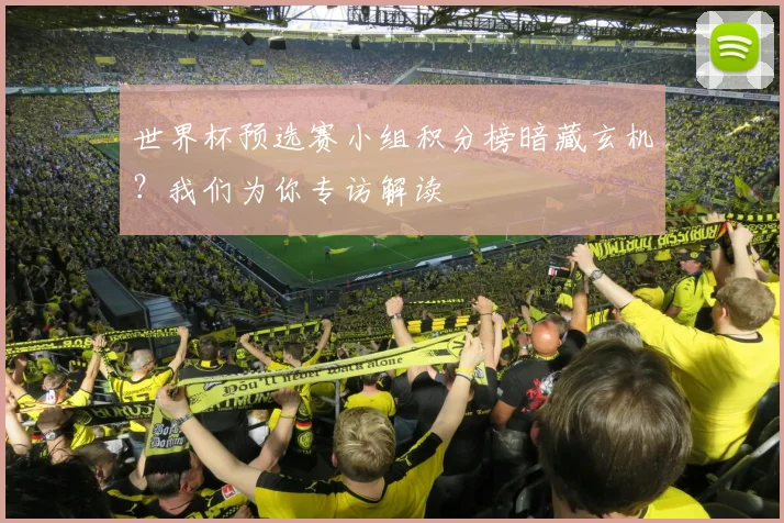 世界杯预选赛小组积分榜暗藏玄机？我们为你专访解读