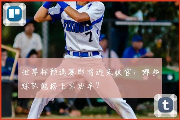 世界杯预选赛即将迎来收官，哪些球队能搭上末班车？