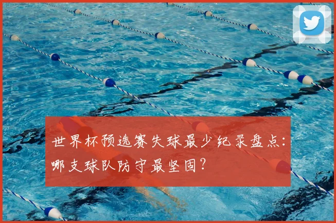 世界杯预选赛失球最少纪录盘点：哪支球队防守最坚固？