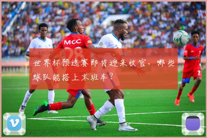世界杯预选赛即将迎来收官，哪些球队能搭上末班车？